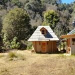 Just spent a week in isolation in the forest