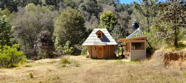 Just spent a week in isolation in the forest