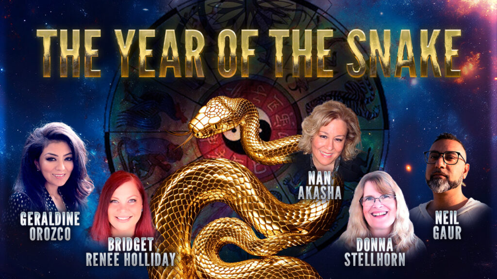 The Year of the Snake