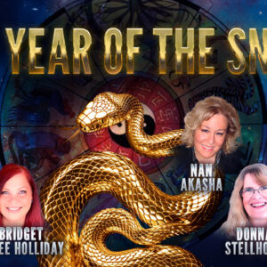 The Year of the Snake