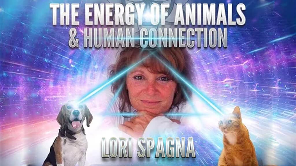Lori Spagna: The Energy of Animals & Human Connection