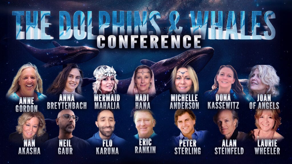 The Dolphins & Whales conference
