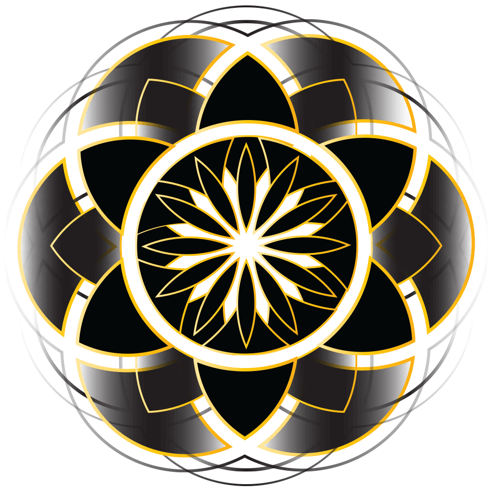 Portal to Ascension Partner Program — Galactic (Innernet V)